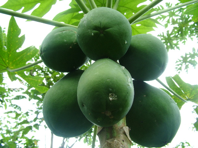 DSCF8915.JPG