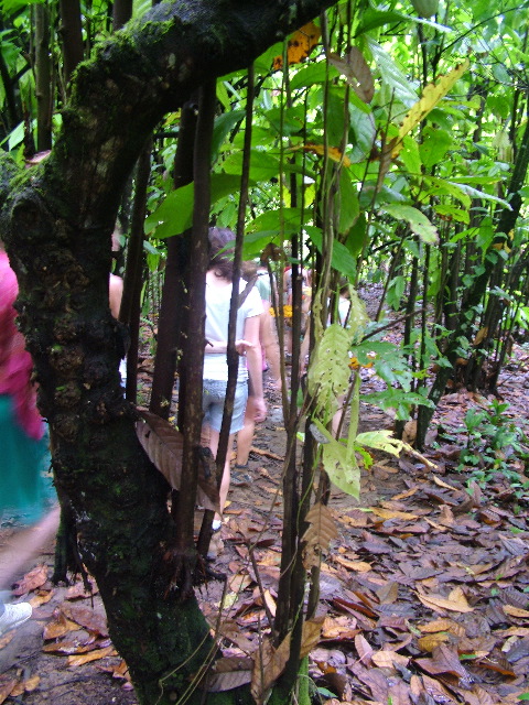 DSCF8919.JPG