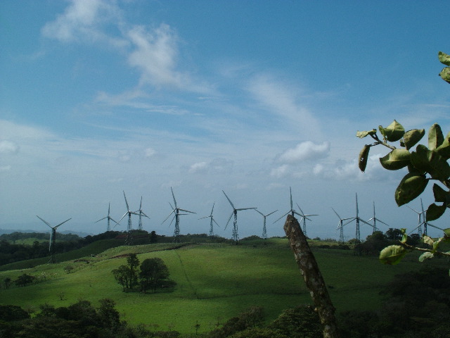 DSCF8622.JPG
