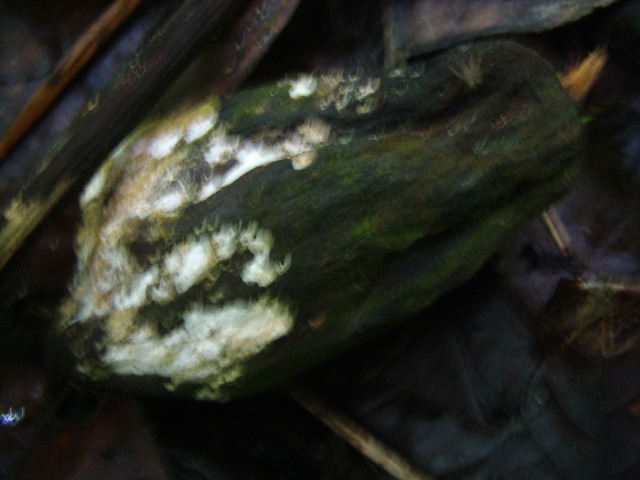 DSCF8922.JPG
