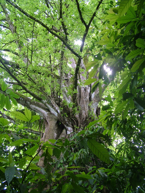 DSCF8925.JPG