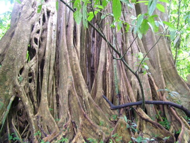 DSCF8926.JPG