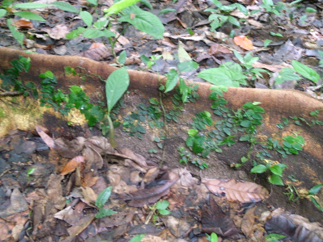 DSCF8927.JPG