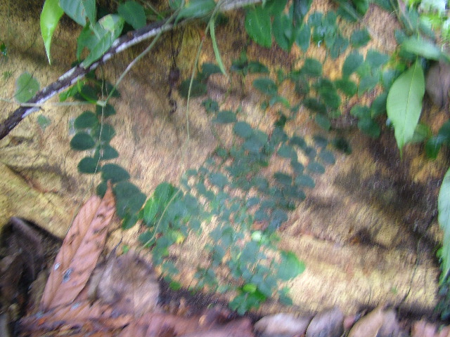 DSCF8928.JPG