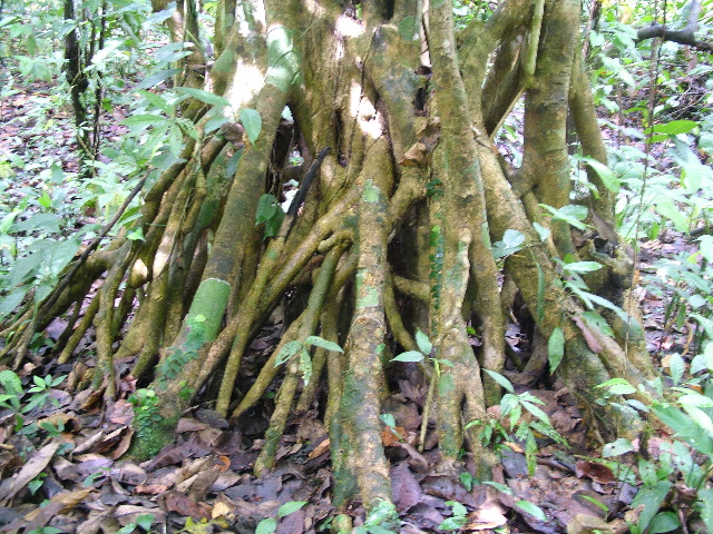 DSCF8929.JPG