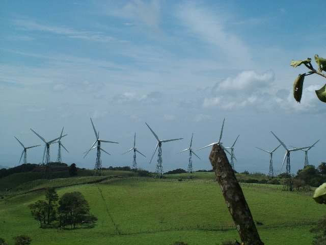 DSCF8623.JPG