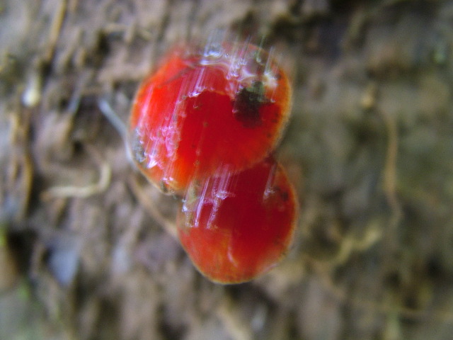 DSCF8932.JPG
