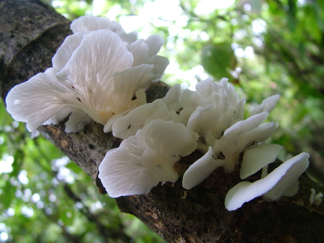 DSCF8933.JPG