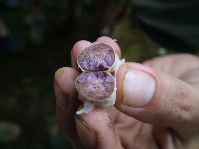 DSCF8940.JPG