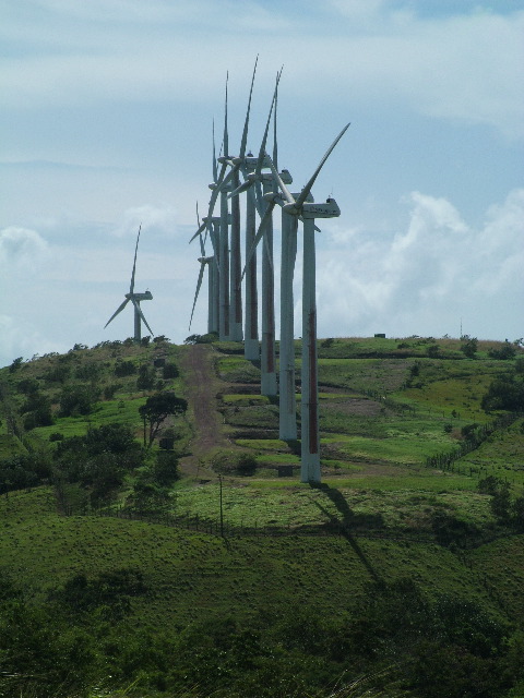 DSCF8624.JPG