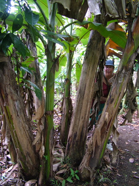 DSCF8944.JPG