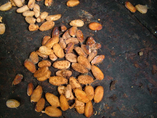 DSCF8946.JPG