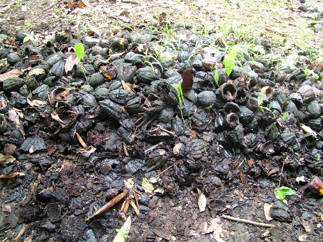 DSCF8949.JPG
