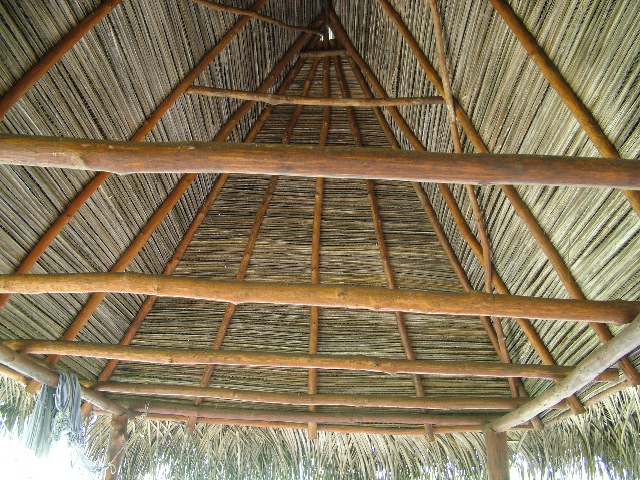 DSCF8960.JPG