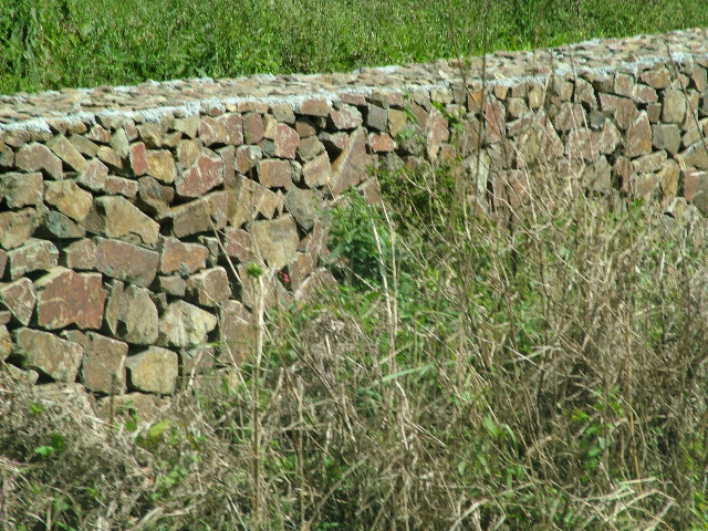 DSCF8626.JPG