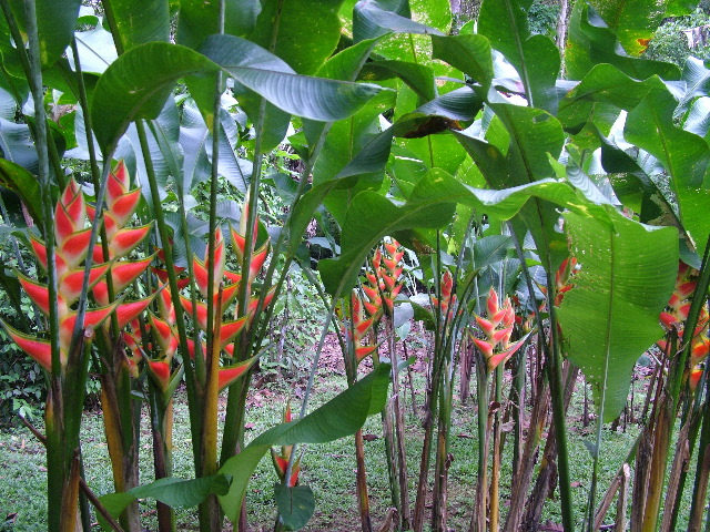 DSCF8966.JPG