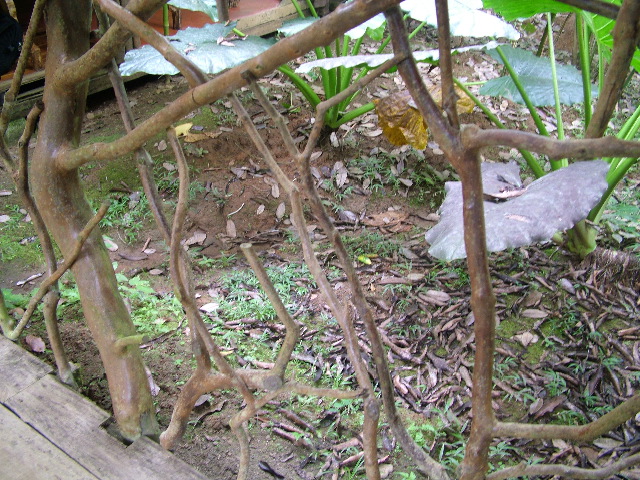 DSCF8969.JPG