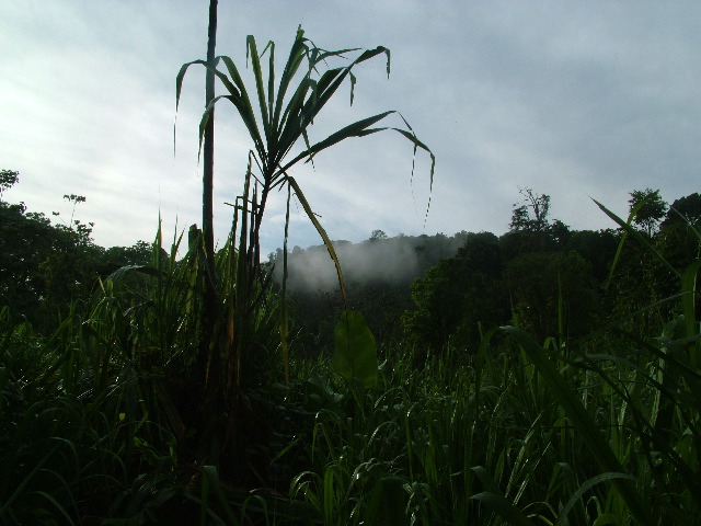 DSCF8974.JPG