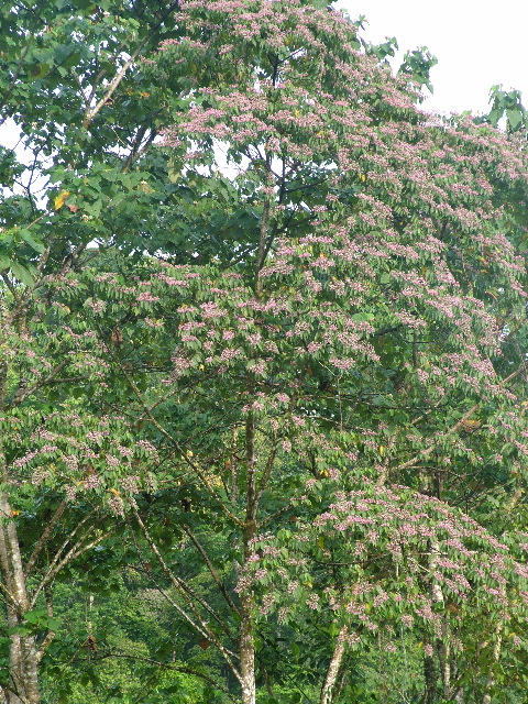 DSCF8975.JPG