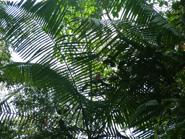 DSCF8983.JPG