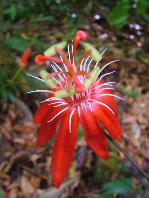 DSCF8989.JPG