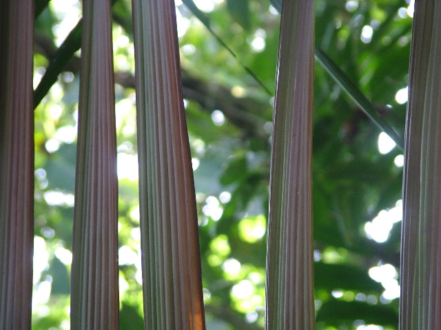 DSCF8992.JPG