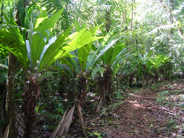 DSCF8993.JPG