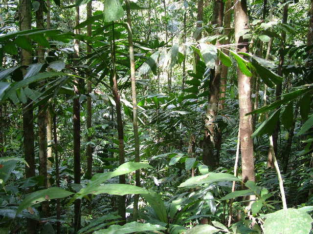 DSCF8994.JPG