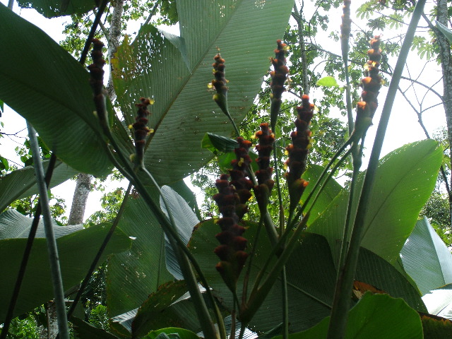 DSCF8995.JPG