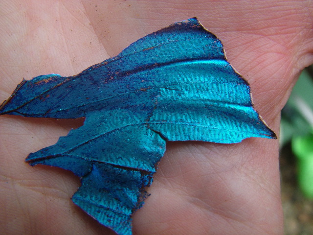 DSCF8998.JPG