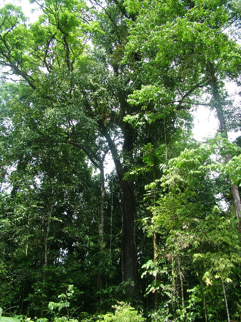 DSCF8999.JPG