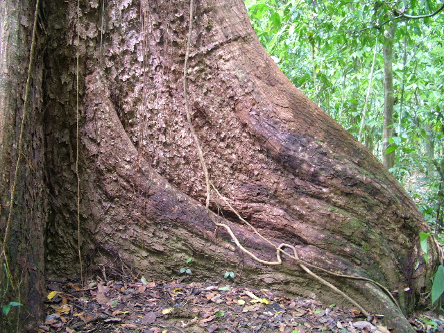 DSCF9001.JPG
