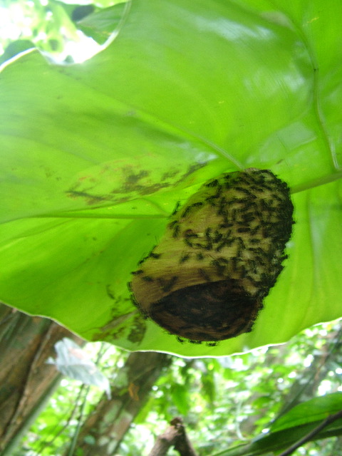 DSCF9002.JPG
