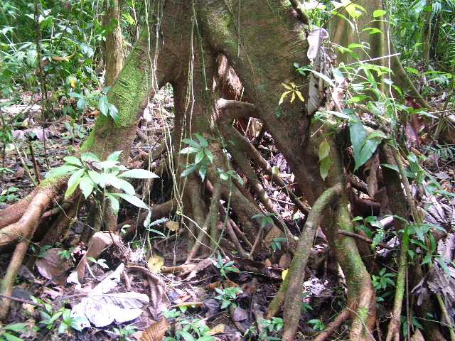 DSCF9003.JPG