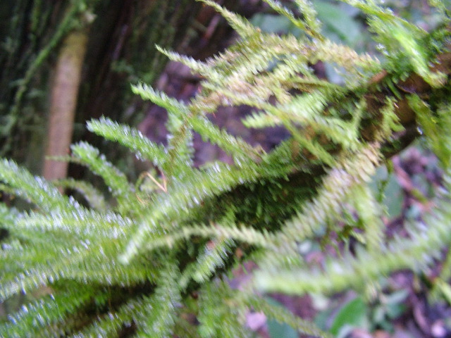 DSCF9005.JPG