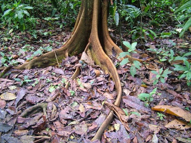 DSCF9008.JPG