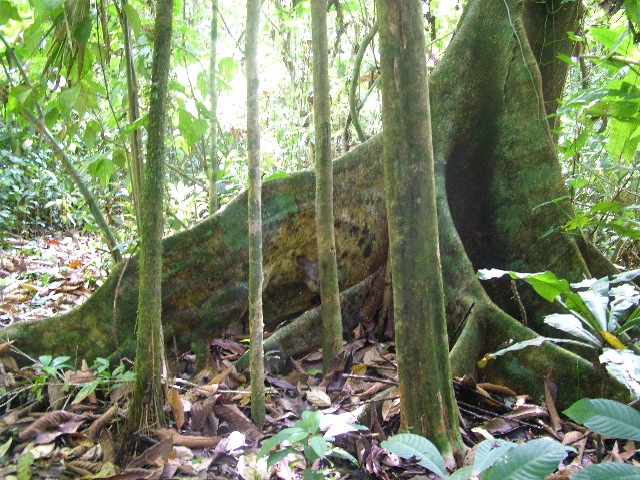 DSCF9010.JPG