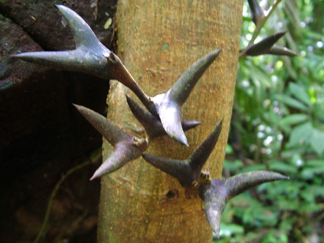 DSCF9012.JPG