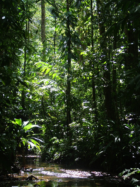 DSCF9015.JPG