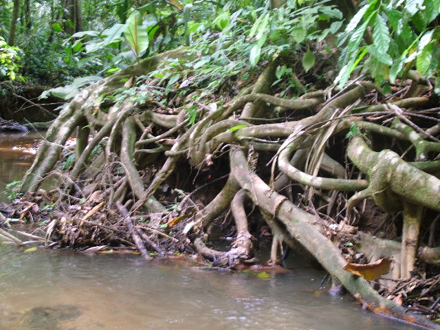 DSCF9018.JPG
