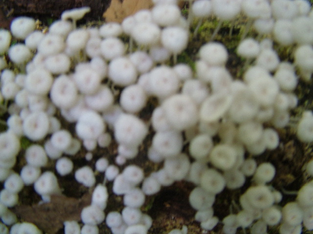 DSCF9023.JPG