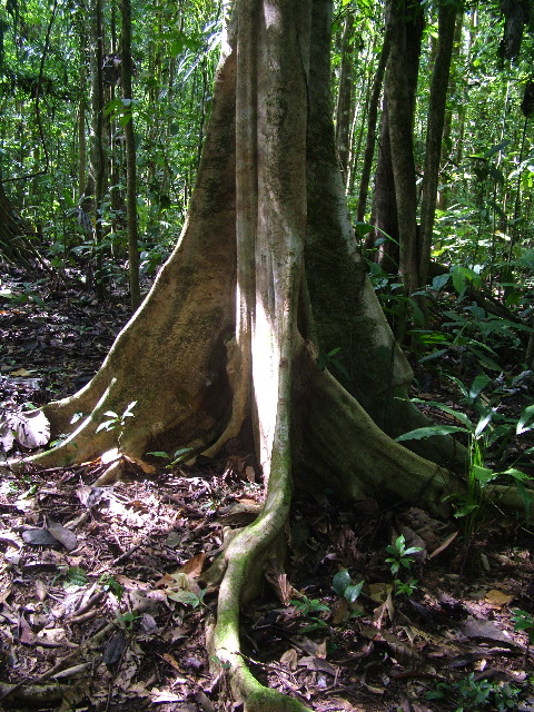 DSCF9024.JPG