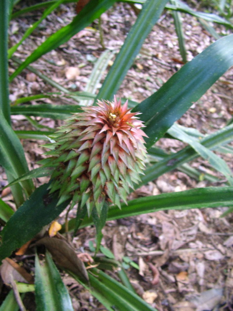 DSCF9027.JPG