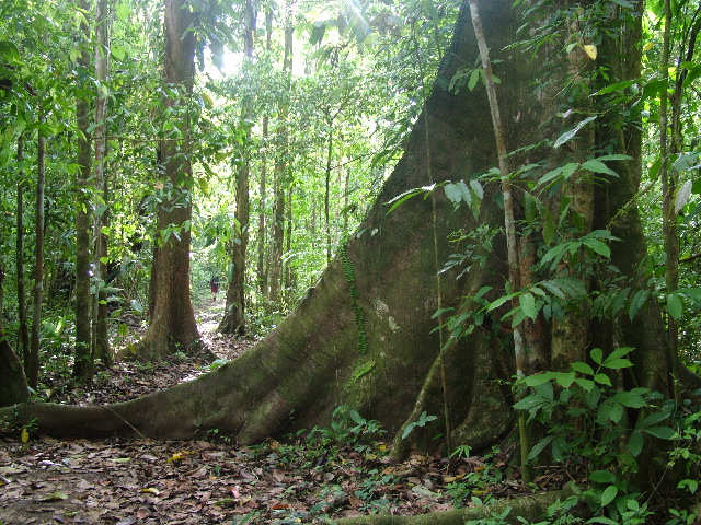 DSCF9028.JPG