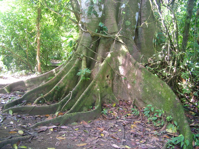 DSCF9029.JPG