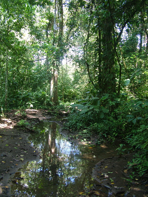 DSCF9033.JPG