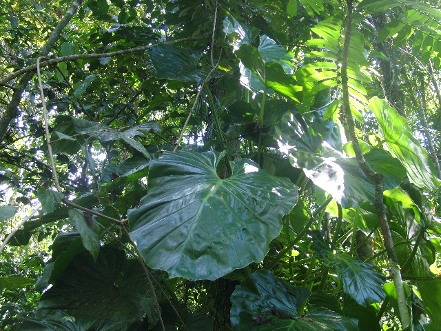 DSCF9034.JPG