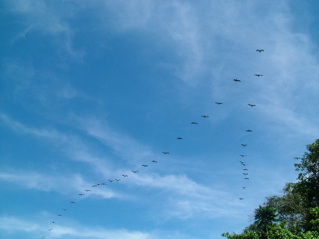 DSCF9038.JPG