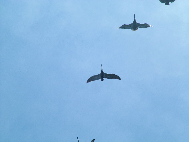 DSCF9039.JPG