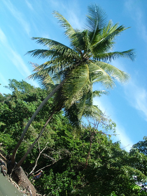 DSCF9041.JPG